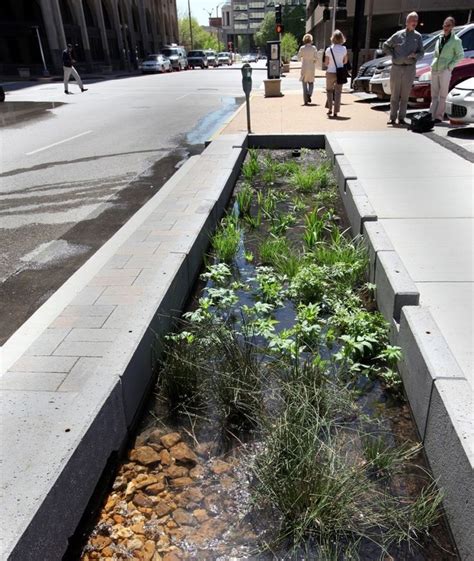 Pin By Isa Lewis On Landscape Moments Rain Garden Urban Garden Rain