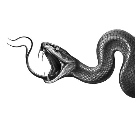 Pin By Yama Gucci On Animal In 2024 Snake Drawing Skull Art Tattoo