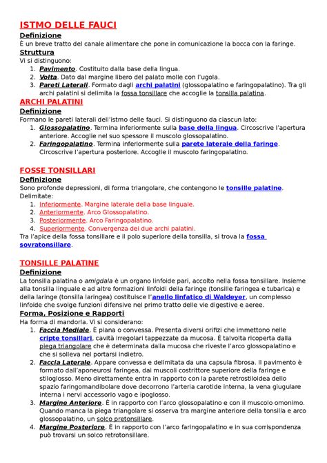 Istmo Delle Fauci Apparato Digerente Anatomia Ii Libro Anastasi
