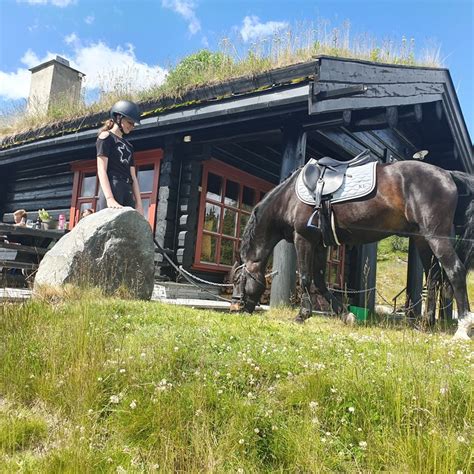 Fjellparkstua Aurdal Fjellpark Valdres Aurdalno