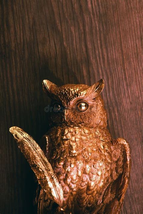 Gold Owl Figure Studio Stock Photo Image Of Elegance 130390022