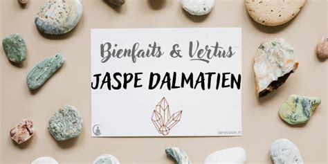 Jaspe Dalmatien Vertus Et Propri T S De La Pierre Serelaxer Fr