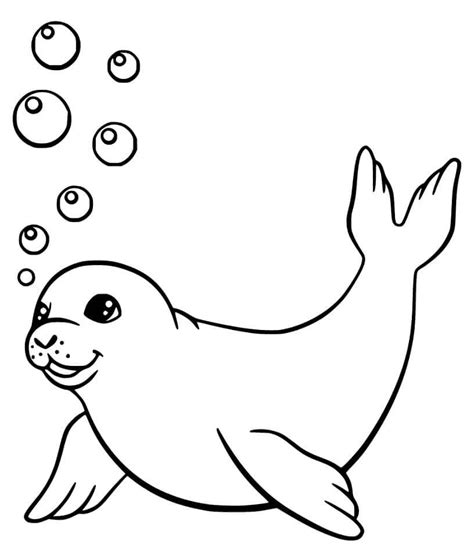 Foca Nadando Para Colorear Imprimir E Dibujar Coloringonlycom