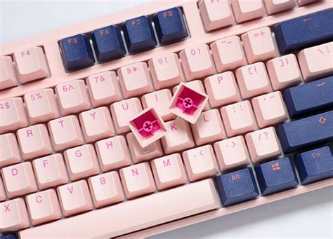 Ducky Channel One Fuji Tkl Cherry Mx Speed Silver Azerty