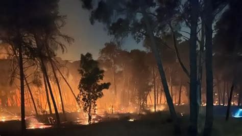 Divampa In Un Incendio In Un Bosco Di Lequile Ore Di Lavoro Per Domare