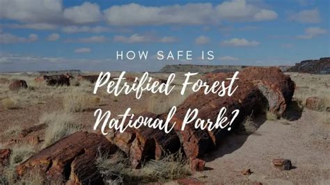 Is Petrified Forest National Park Safe 2023 Hikers Daily