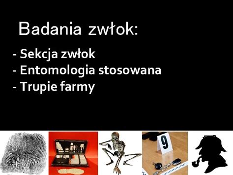 Badania Zwok Kluczem Do Wyjanienia Przyczyny Mierci Zwoki