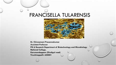 Francisella Tularensis PPT