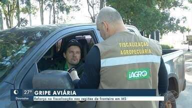 Mstv Edi O Campo Grande Gripe Avi Ria Refor O Na Fiscaliza O