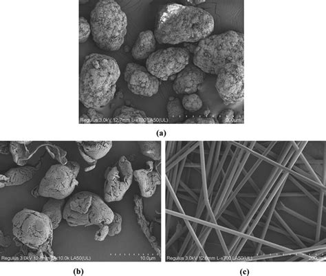 Scanning Electron Microscope Images Of A Uhmwpe B Ptfe And C Aramid