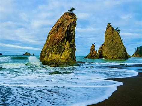 When Is The Best Time To Visit Olympic National Park