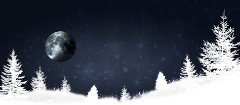 Snowy Country Christmas Trees Stock Illustration - Download Image Now - Backgrounds, Christmas ...