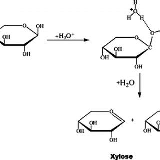 Mechanism Of Conversion Of Xylan Into Xylose Through The Hydronium Ion