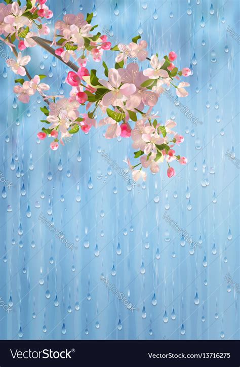 Spring flowers rain Royalty Free Vector Image - VectorStock