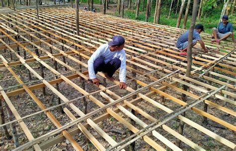 Simak Dirikan Bisnis Rumah Ayam Potong Kirim Ayam