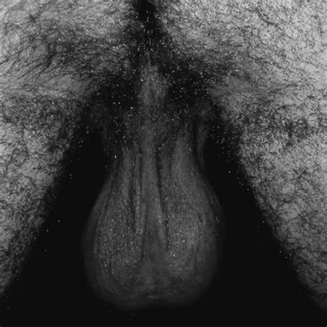 Big Balls Gay Latino Latino Porn Feat Lion Big Balls XHamster