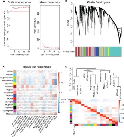 Frontiers Identification Of Cd T Cell Infiltration Related Genes