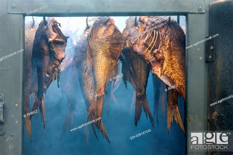 Still Life Of Smoked Fish Stock Photo Picture And Low Budget Royalty