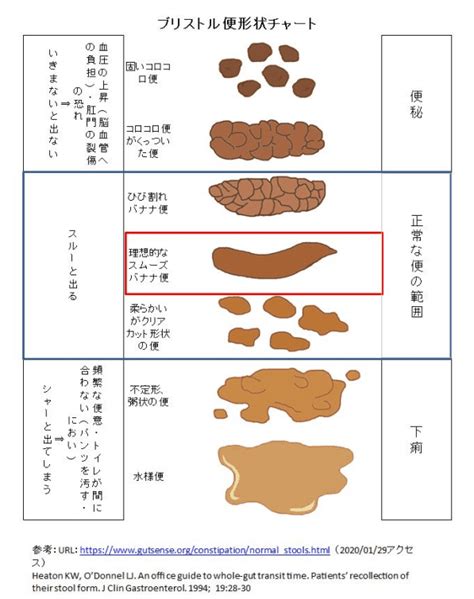 うんちと便秘 どくそうがん社長ブログ