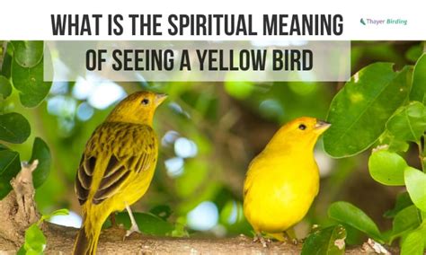 What Is The Spiritual Meaning Of Seeing A Yellow Bird