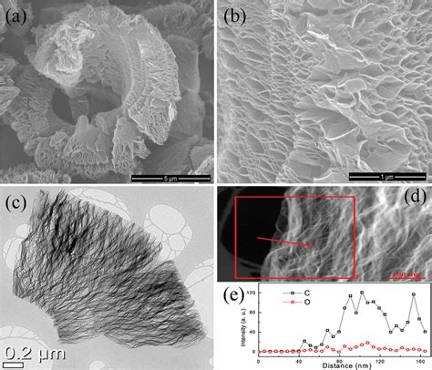 Morphological And Structural Characterization Of Rgo Sem Images At A