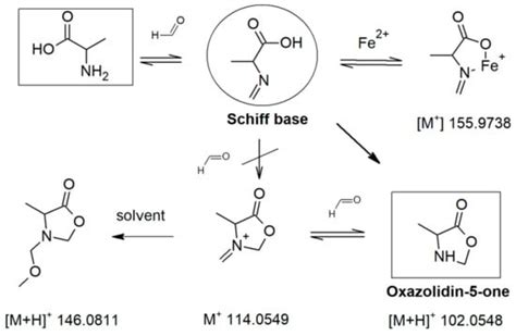 Applied Sciences Free Full Text Amino Acid Derived Oxazolidin