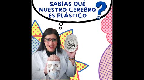 Neuroplasticidad Youtube