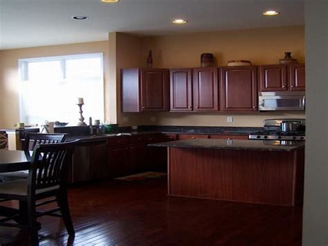 Best Kitchen Paint Colors With Dark Cabinets