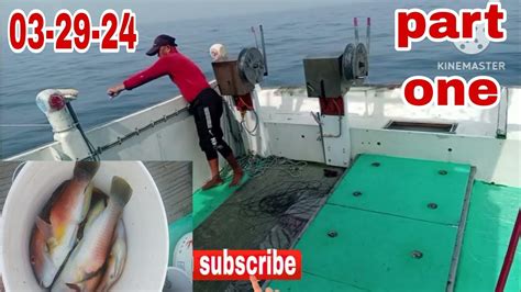 Part One Handline Fishing Using Prawn Bait Catch Parrot Fish