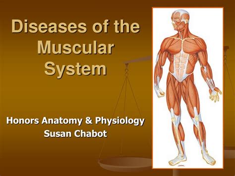 Ppt Diseases Of The Muscular System Powerpoint Presentation Free