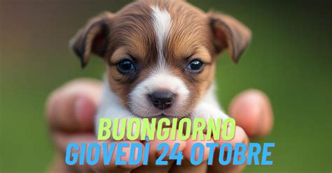 Buongiorno E Buon Gioved Ottobre Bellissime Frasi E Immagini