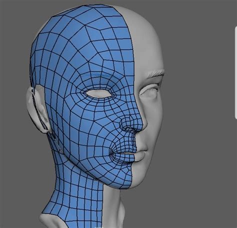 Human Face Topology Face Topology Zbrush Character Zbrush