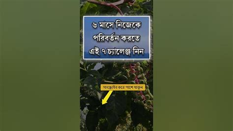 ৬ মাসে নিজেকে পরিবর্তন করতে এই ৭ চ্যালেঞ্জ নিন 127motivation