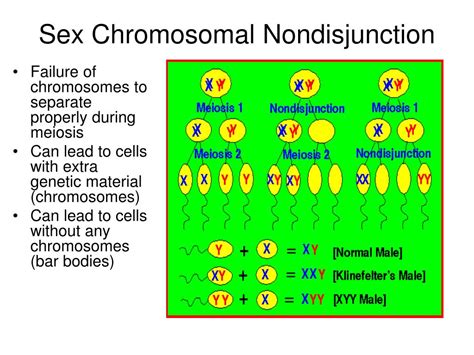 PPT Chromosomal Mutations And Nondisjunctions PowerPoint Presentation