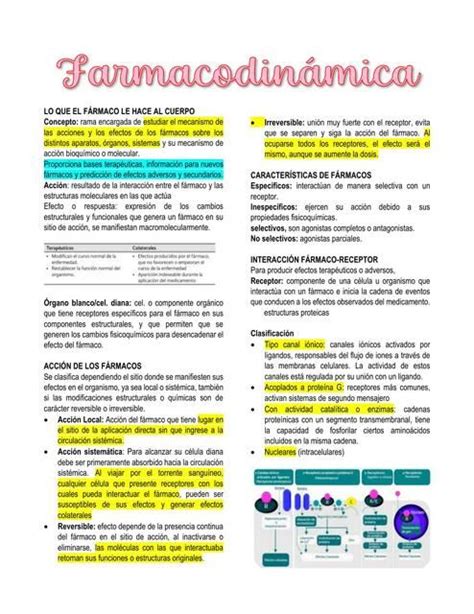 Farmacodinamia Daniela Vila Garc A Udocz En Apuntes Que Te