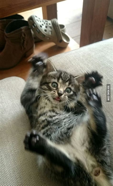 Playing With My Pussy Is Fun GAG