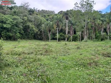 S Tio Na Geral Do Rio Novo Guas Mornas Terrenos S Tios E Fazendas