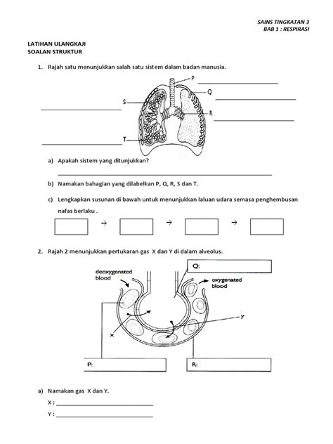 Soalan Kbat Sains Tingkatan 3 Bab 3 Bermacam Macam Latihan Sains Tingkatan 3 Yang Bermanfaat