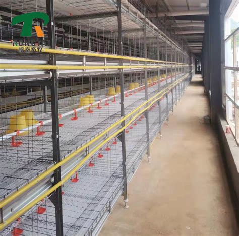 Automatic Hot Galvanized Multi Tier H Frame Battery Poultry Farm