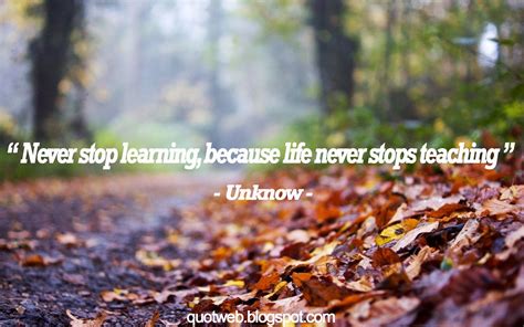 kumpulan kata bijak terbaru warung informasi