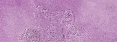 Desenho Tr S Do Flamingosl Bandeiras Natureza Ilustra O Stock