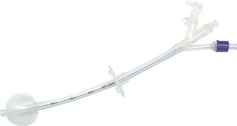 Peg Replacement Tube Endosurgery Esb Leading Distributor Of