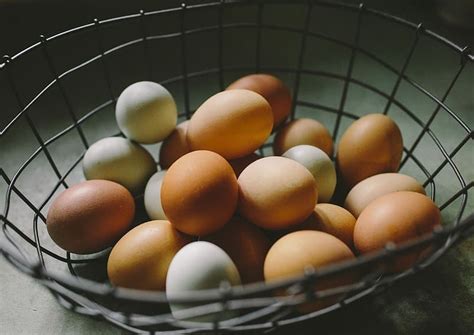 Perbedaan Kandungan Telur Ayam Dan Telur Bebek Yang Masih Jarang Diketahui