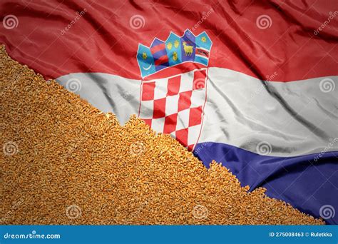 Wheat Grain On The Waving Colorful National Flag Of Croatia Macro Shot