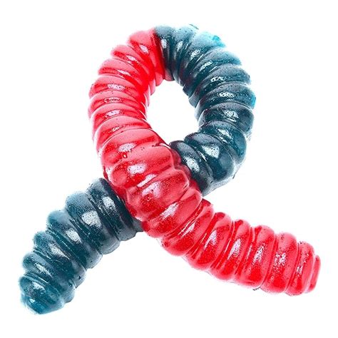 World S Largest Gummy Worm Cherry Blue Raspberry Grocery And Gourmet Food