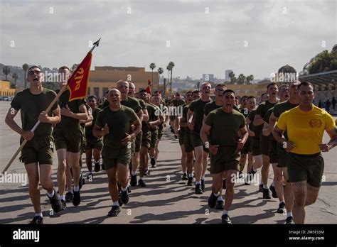 U S Marines With Echo Company Nd Recruit Training Battalion