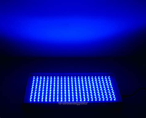 16w 230pcs Blue Led Grow Light Panel 100v 240v 50 60hz Ac Adaptor Greenergystar