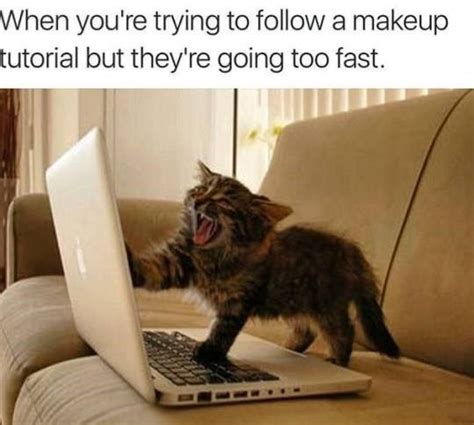 Enjoy These 20 Memes On Your Caturday Morning Funny Cat Pictures