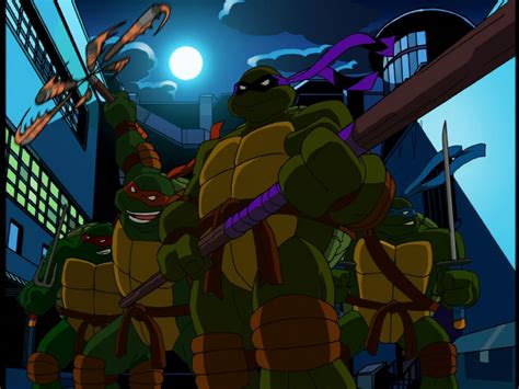 Teenage Mutant Ninja Turtles Tv Series