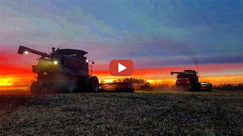 Soybean Harvest 2019 Finally Gets Under Way Massey Ferguson Equipment